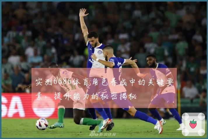 实测6686体育角色养成中的关键要素，提升能力的秘密揭秘